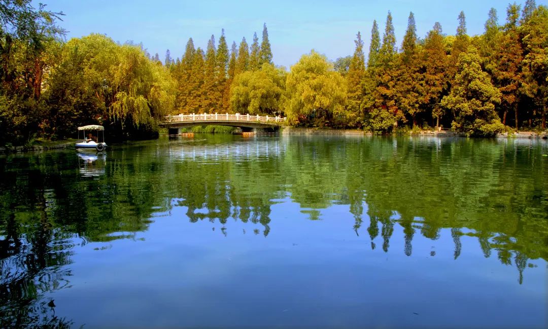 上海最美公园地铁站,上海地铁能直达的免费公园