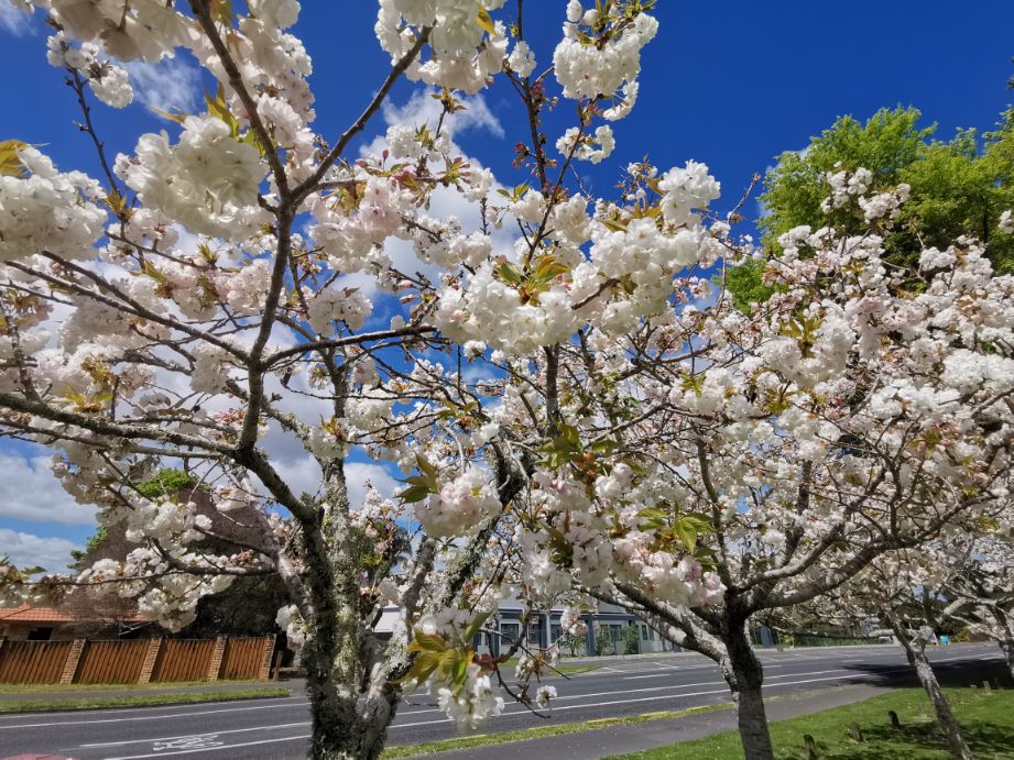 好山好水好寂寞出处,好山好水好寂寞69563725