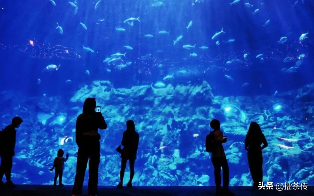 香港又热闹起来了！内地旅客来港「血拼」