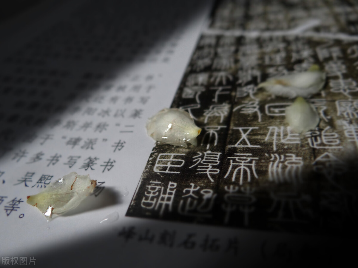 带张的抖音网名昵称,抖音网名昵称代表幸福好运的