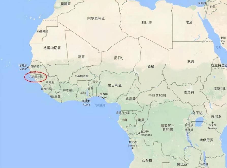 为什么日本人要杂交胚胎实验,日本人的杂交实验成功了吗