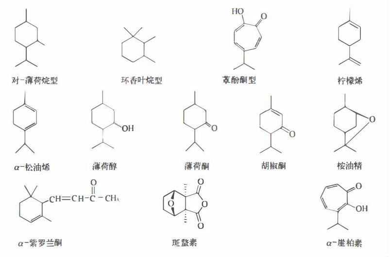 植物活性成分有效成分,药用植物中的萜类物质