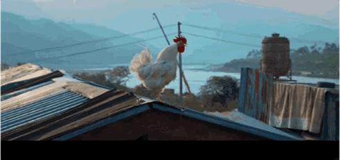 王宝强背后的心酸,王宝强背后的照片