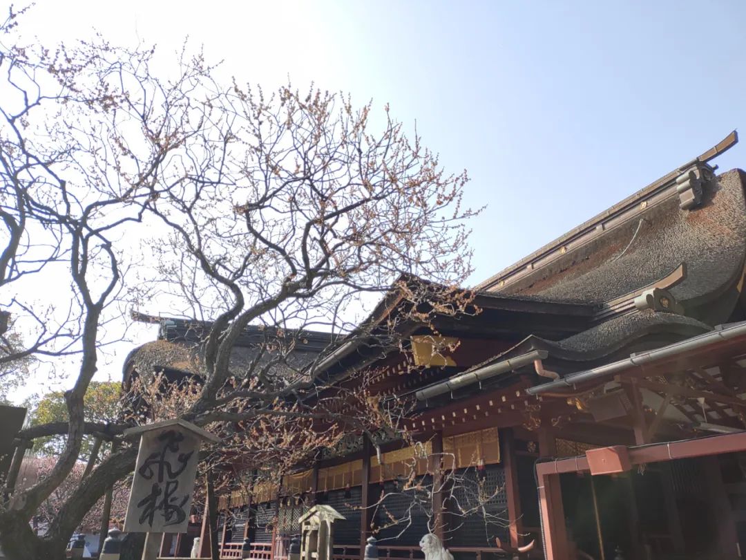 日本小哥回日本,日本小哥下班回家