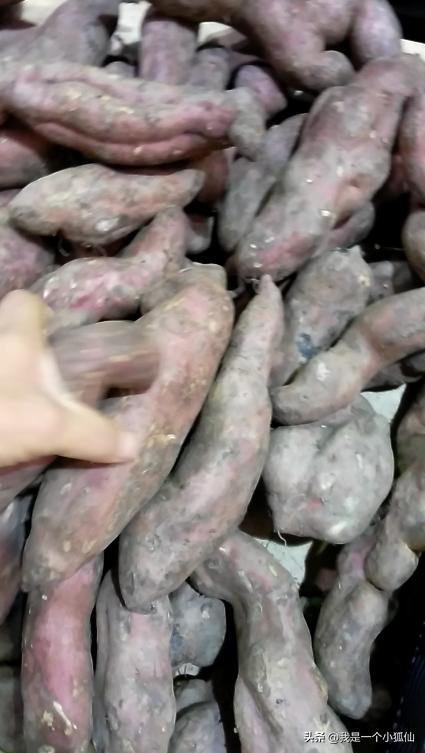 我在安哥拉完整版,我在安哥拉