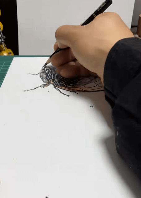 3D绘画牛人多厉害？画出真假难辨的“立体美女”，震惊500万网友