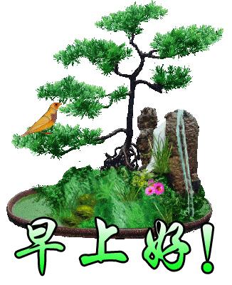 最新早上好表情动图大全,最新的早上好祝福表情图片大全