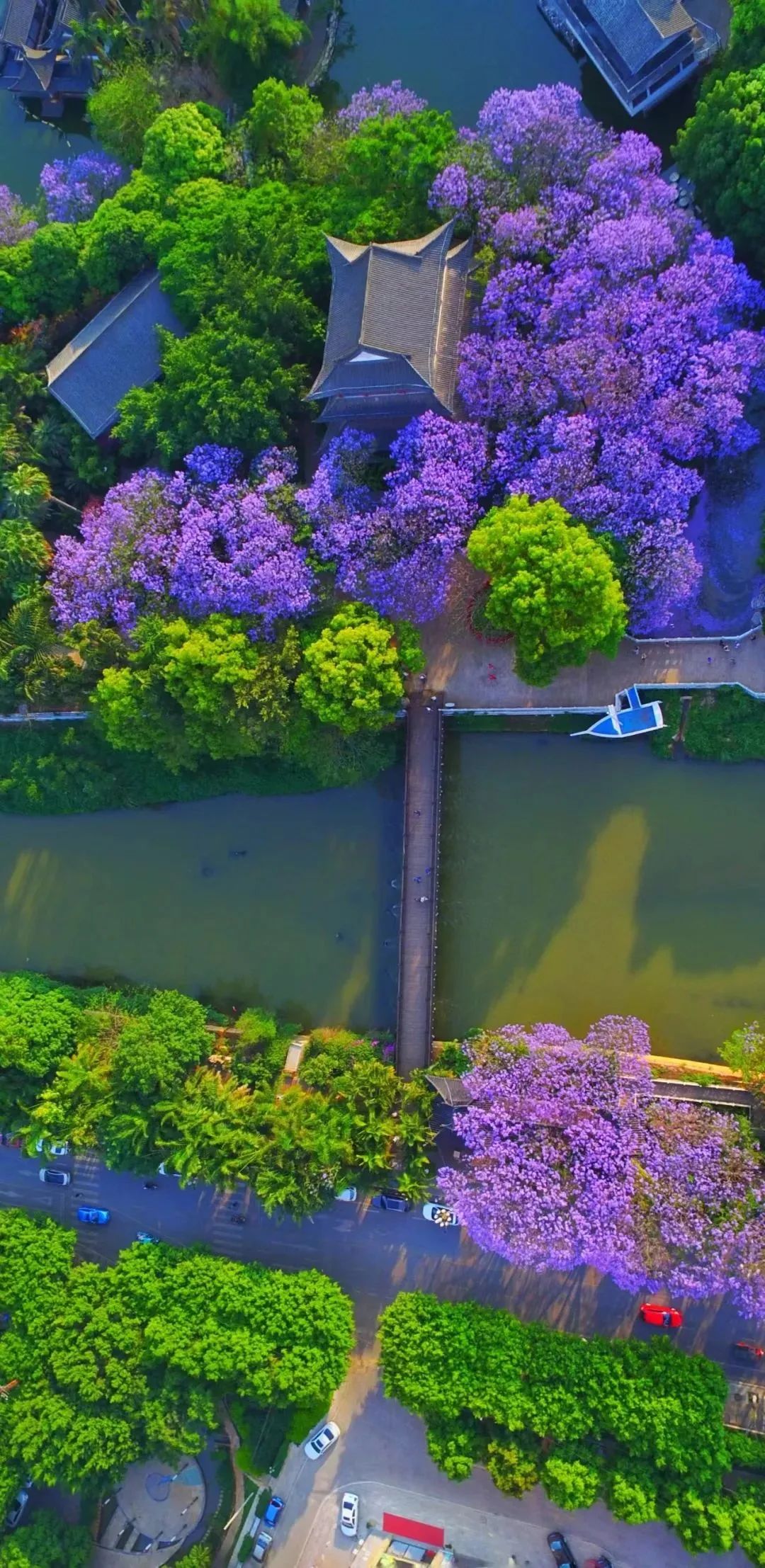 甩米线云南,云南甩米线的快乐