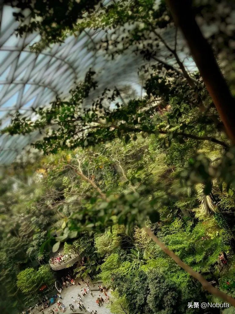 这样的飞机你敢坐吗,令人震撼的机场