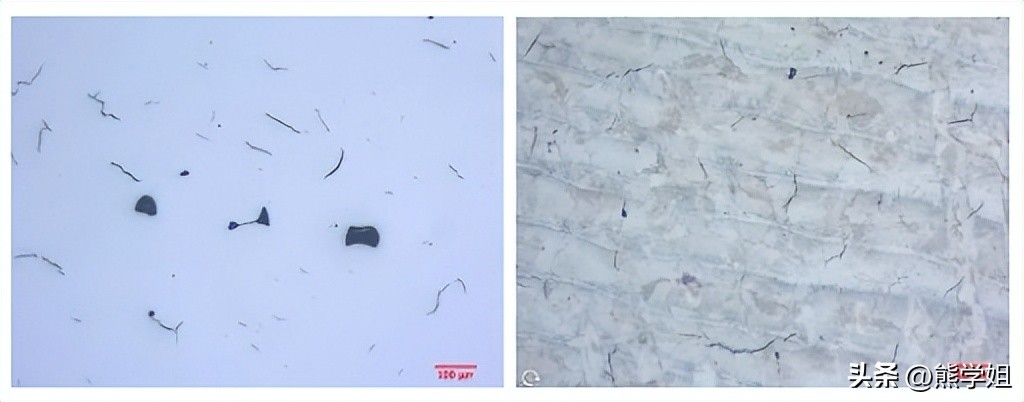 领拓检测应用案例：增材制造样品金相试样制备和分析