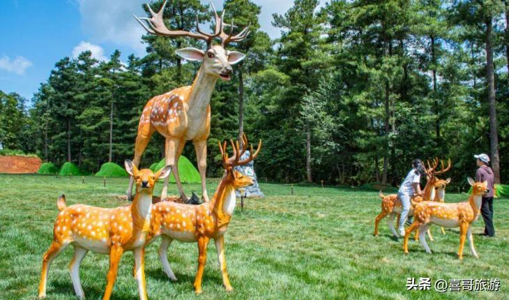 昆明五华区有哪些村子,昆明五华区有哪些高校