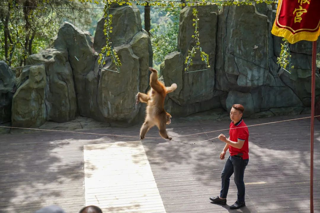 长沙亲近大自然周末遛娃的好地方,长沙石燕湖生态旅游景区门票