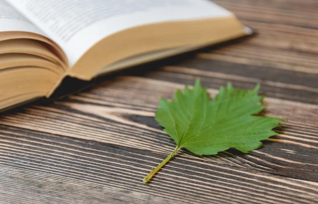 全职妈妈在家带孩子怎么赚钱,宝妈在家带孩子能干什么工作赚钱