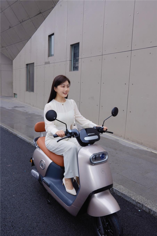 爱玛电动车拉斐最新款的,爱玛拉斐电动车多少钱