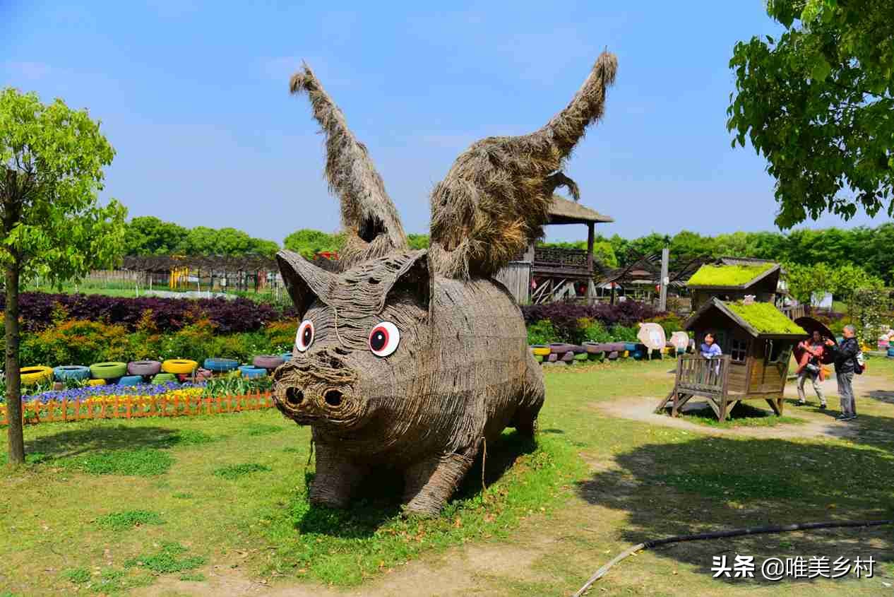 怎样打造一个生态庄园,怎样打造特色农家庄园