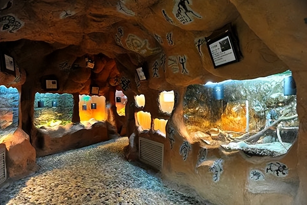 上海大自然野生昆虫馆价格,上海大自然野生昆虫馆