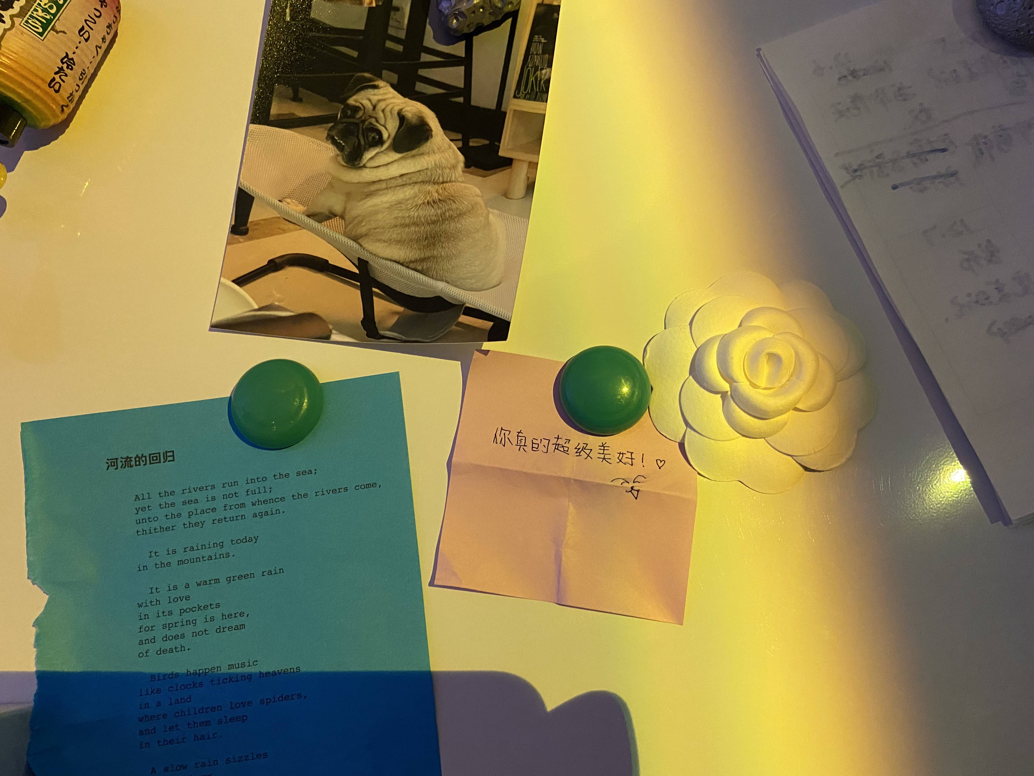 摄影师意外溺水：女模特被指责“杀人犯”，好友因网暴自杀