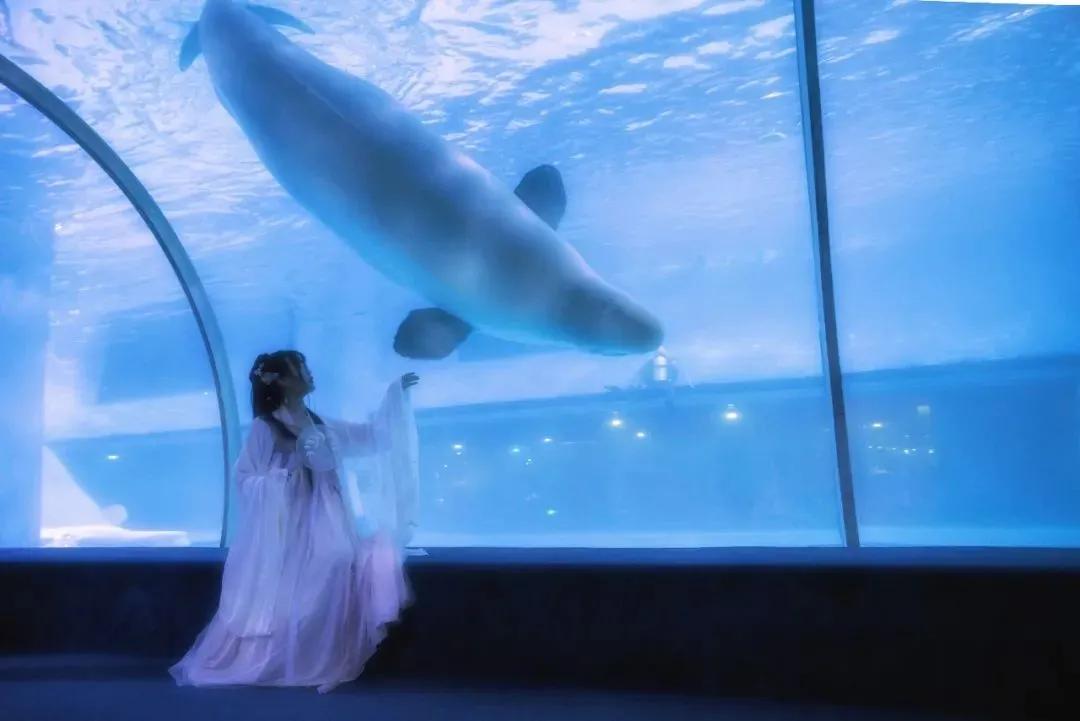 2024春节广州游玩攻略大全,过年游广州超详细攻略发布