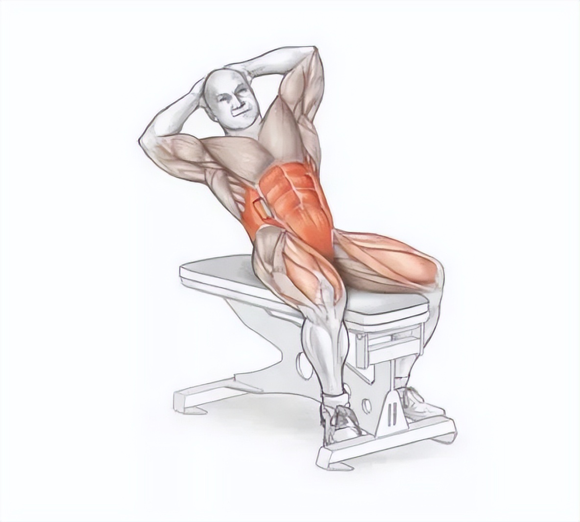 一天就能练出腹肌马甲线的动作,腹肌马甲线练习最佳时间与动作