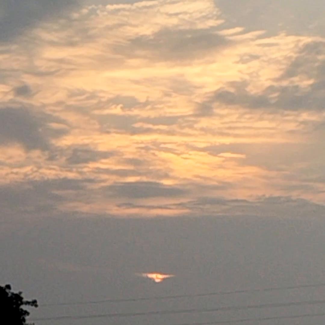 985和211在福州招生人数,各985211在重庆招生的具体名额