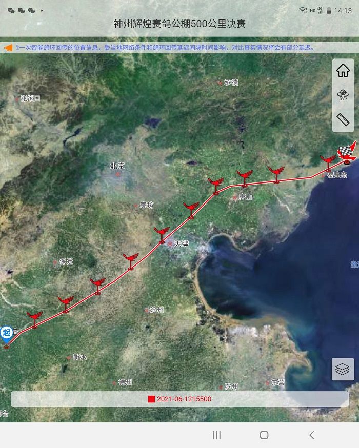 国际公棚鸽王赛奖杯,国际公棚赛