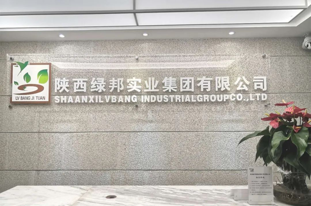 案例|市政工程项目管理:陕西绿邦实业集团有限公司