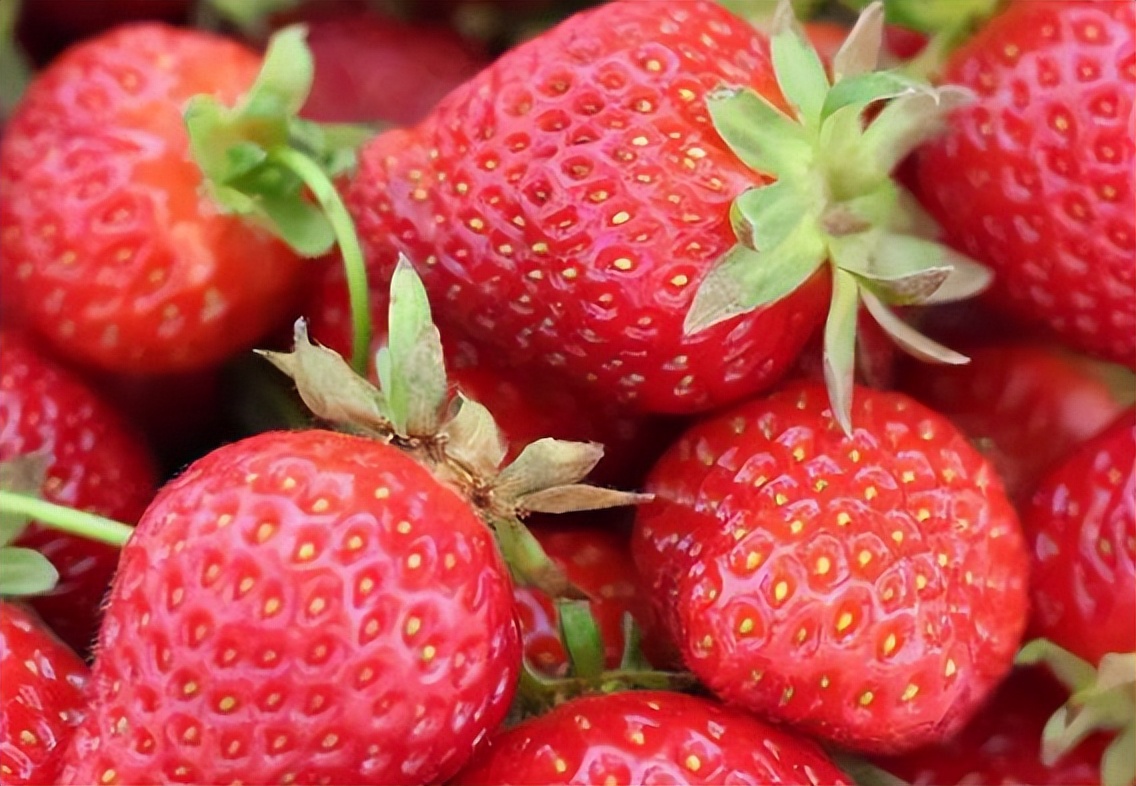 妇科不好能吃柿子吗,吃柿子对妇科有影响吗