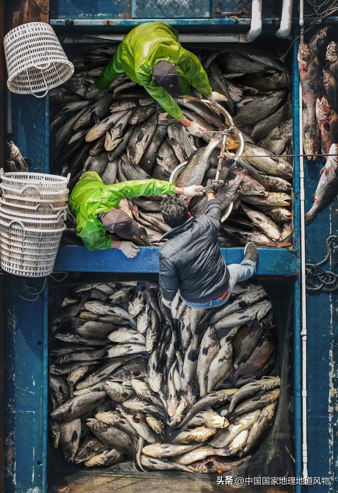 现在的海鲜什么比较好吃,中国哪的海鲜比较好