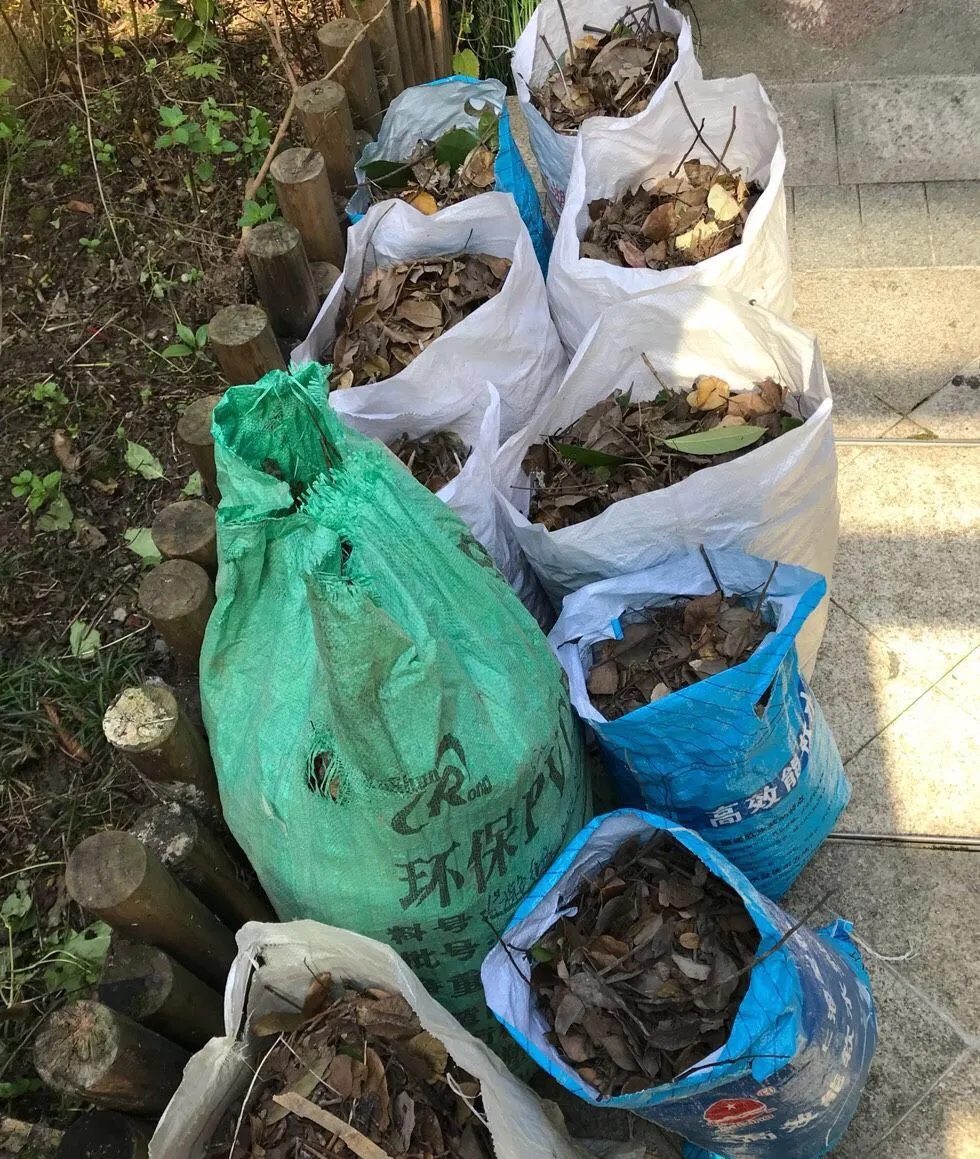 央媒评高校助学金事件,央媒谈高校助学金事件时评