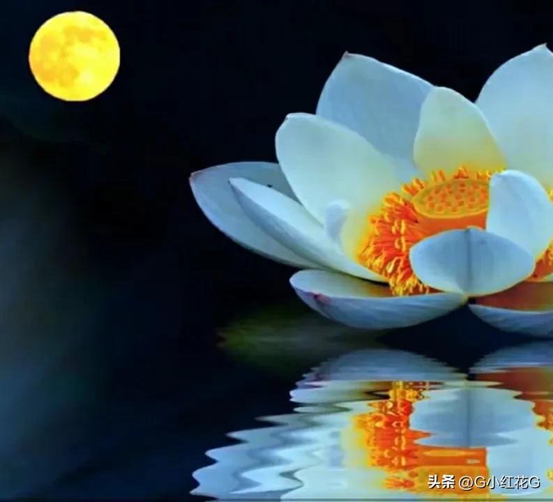 对联知识与禁忌,对联知识讲座