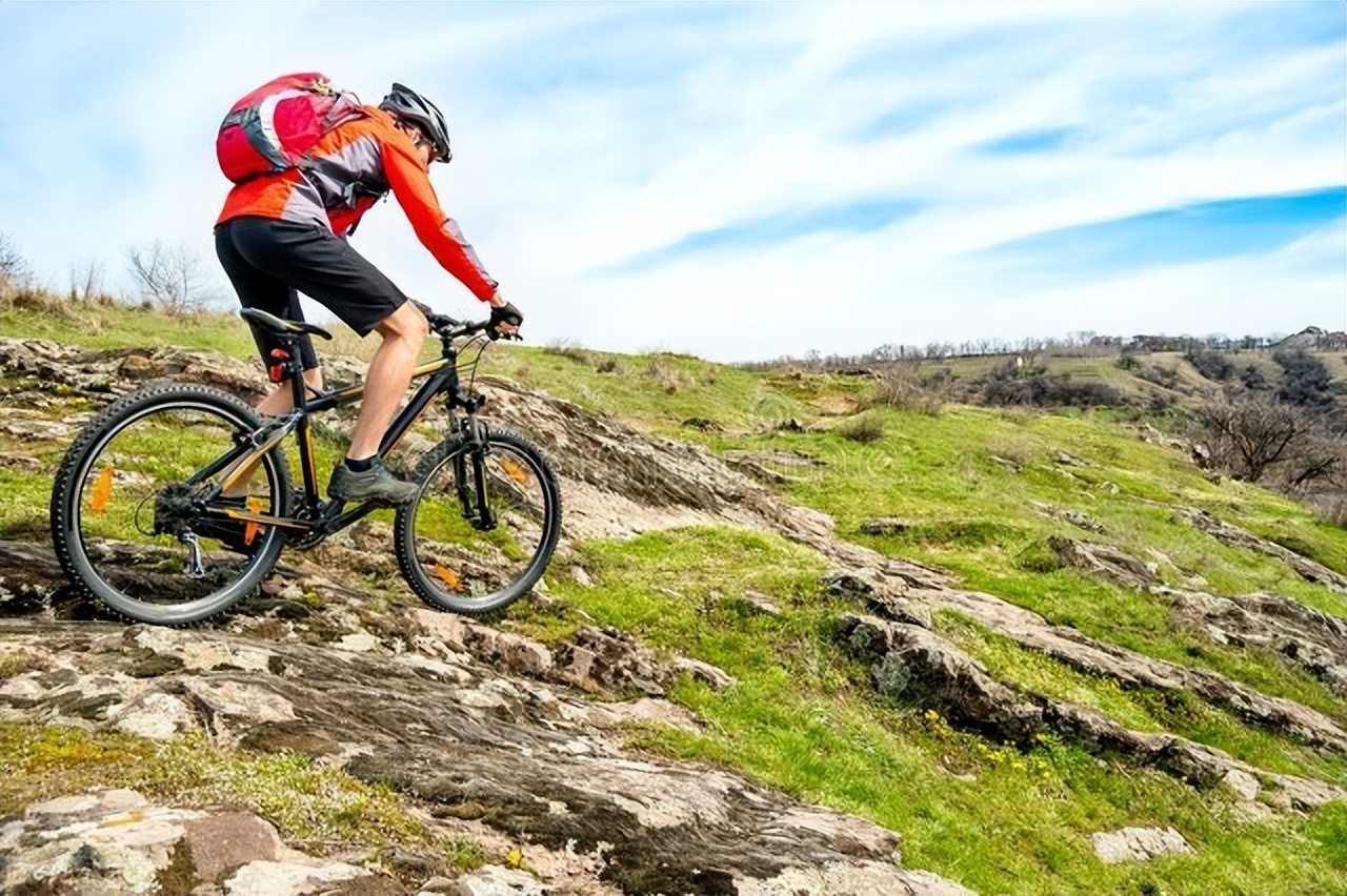 凤凰山地车和捷安特山地车哪个好,世界十大山地自行车排名