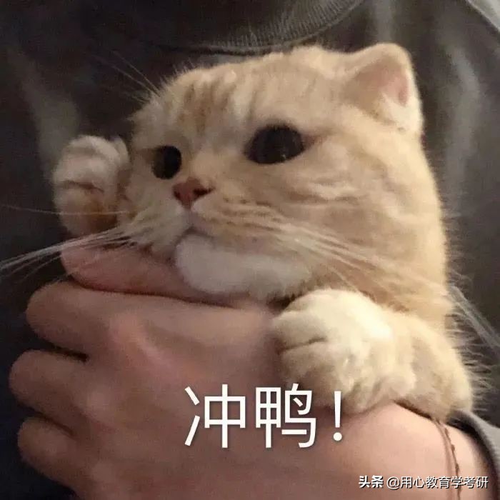 用心教育学考研|22宁波大学教育学考研333+843专硕上岸经验分享