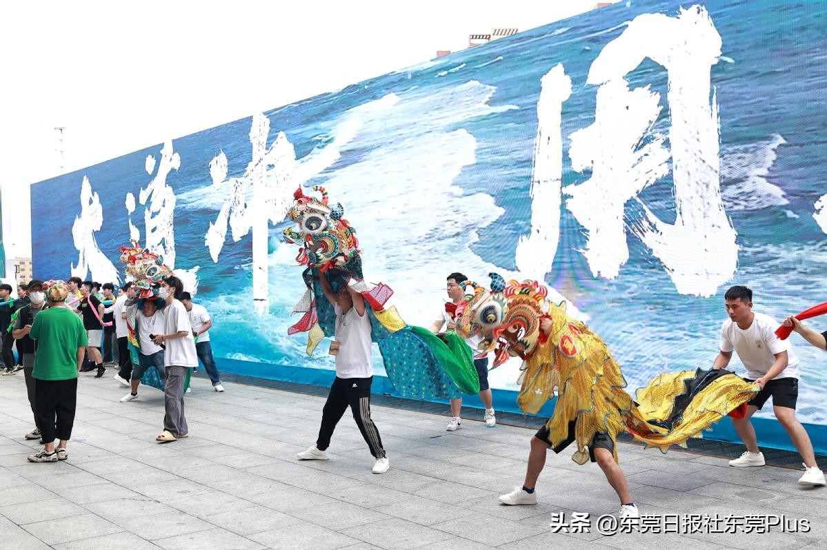 大湾区龙舟队伍,大湾区龙舟比赛完整视频回放