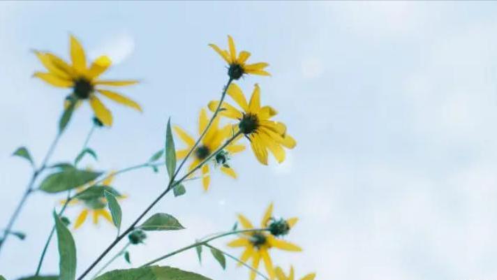 遇到小人是大度还是反击,怎样对待小人的算计