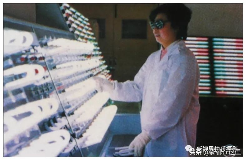 新都区老影像,新都记忆老照片