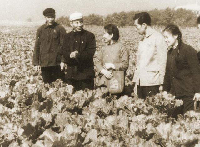 卖菜女工李素文:从副委员长跌落后创业,最后选择月薪二百当劳模