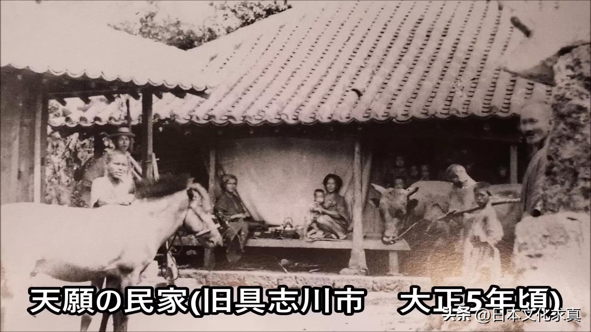 冲绳的中国建筑,冲绳岛建筑