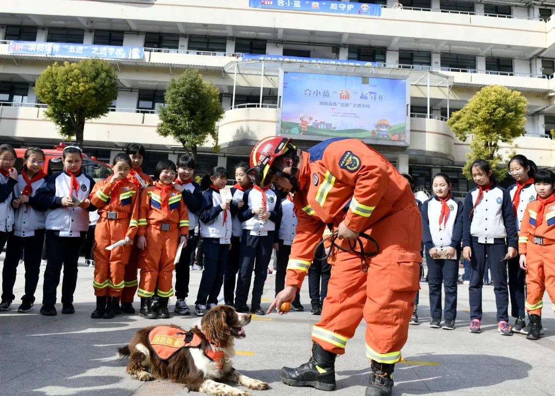 刚刚!合肥一知名小学传来最新消息!