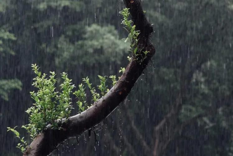 真正厉害的人三种顶级思维,聪明自律的人有四种高级思维