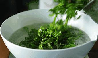 有意境的春天,有一种优雅的春天