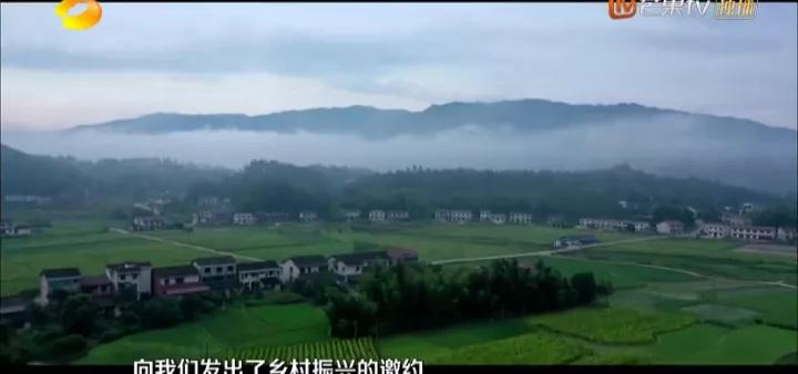 共读｜《云上的小店》：星光耀小河