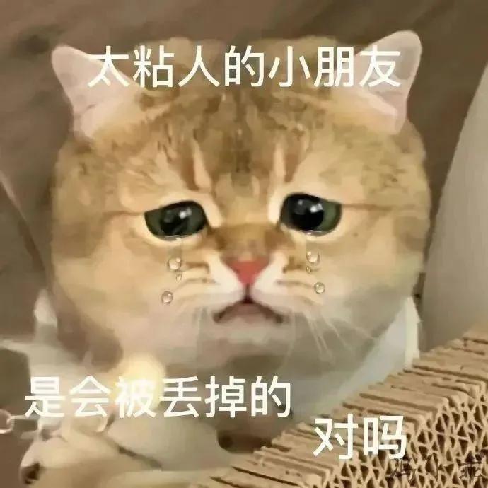 轻轻敲醒沉睡的心灵表情包高清,轻轻敲醒沉睡的心灵表情包