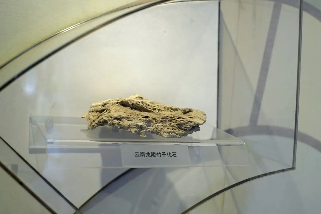 浙江市区度假酒店推荐,浙江轻奢酒店值得推荐