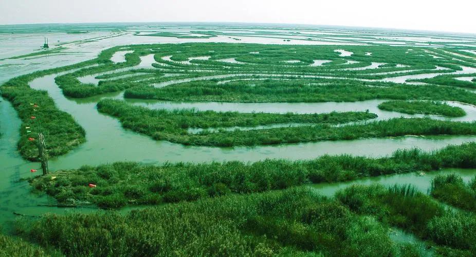 盐城千亿级县区,盐城一座打开心扉的城市图片
