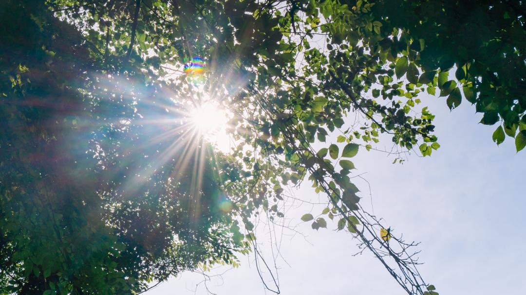 解锁夏日好去处赶紧来打卡吧长沙,长沙这个夏天叫你来打卡