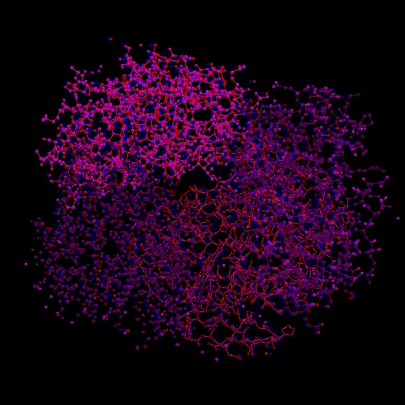 健身增肌的原理是什么,健身增肌原理动作讲解