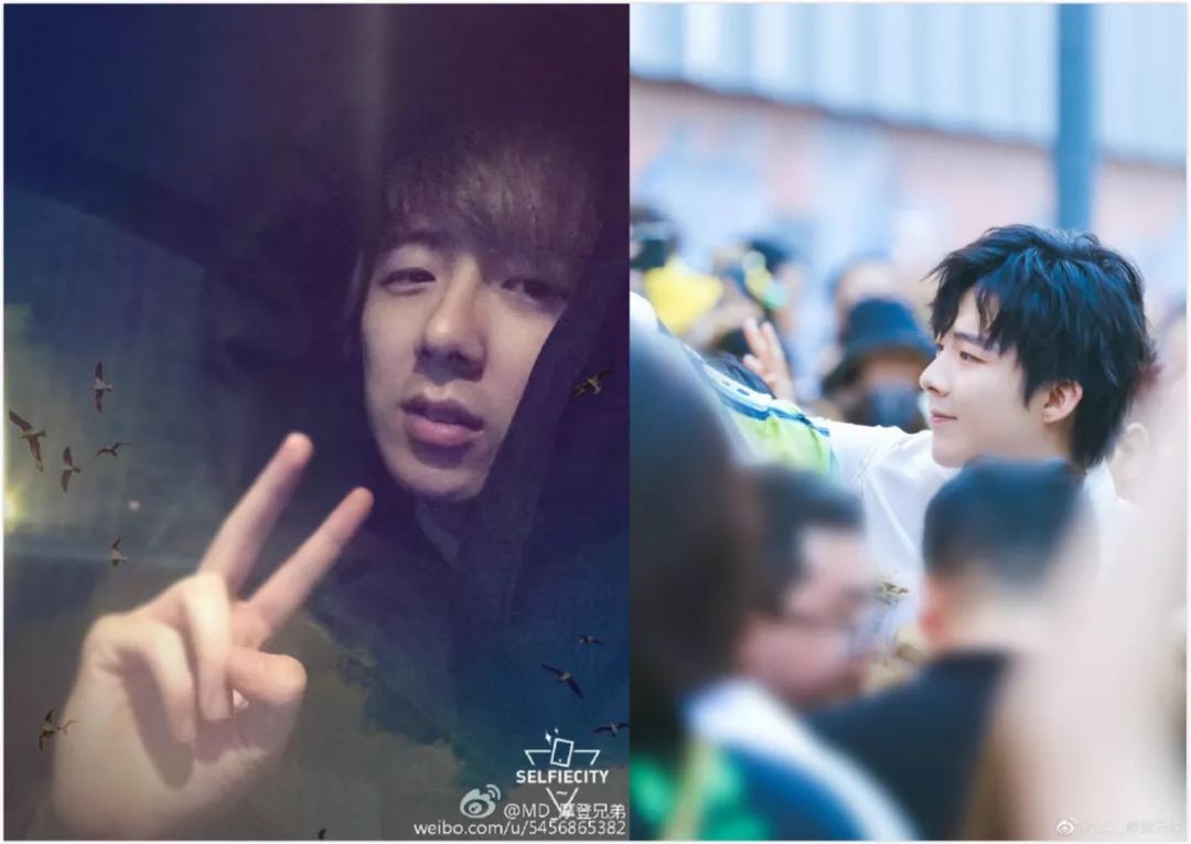 爆红的真相,造成小红书人气爆红的原因是