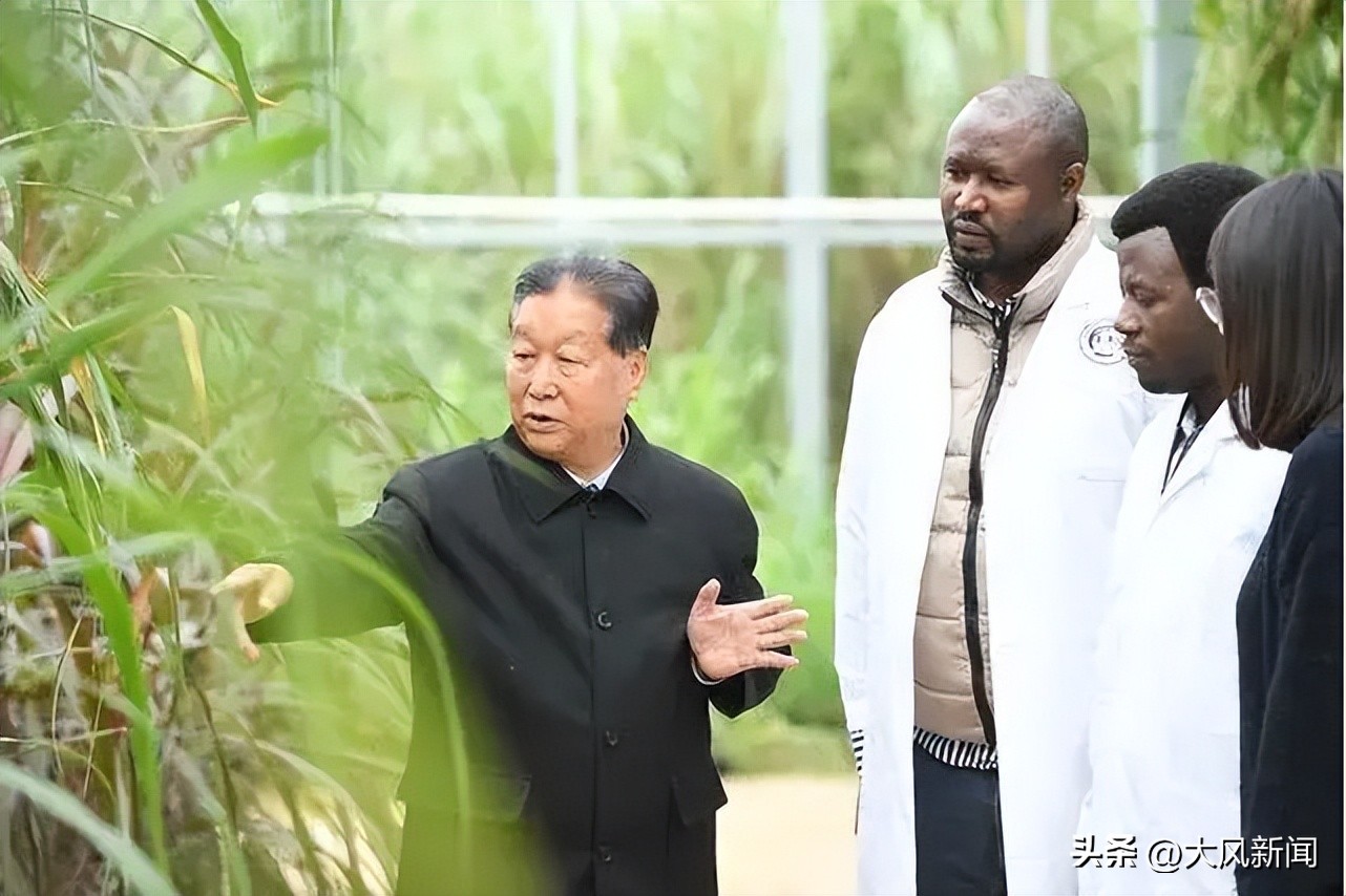 丝路对话|中国菌草帮非洲农户走上致富路