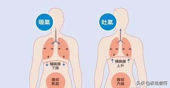 高音只会用假声唱歌怎么办,高音唱不上去假音怎么唱